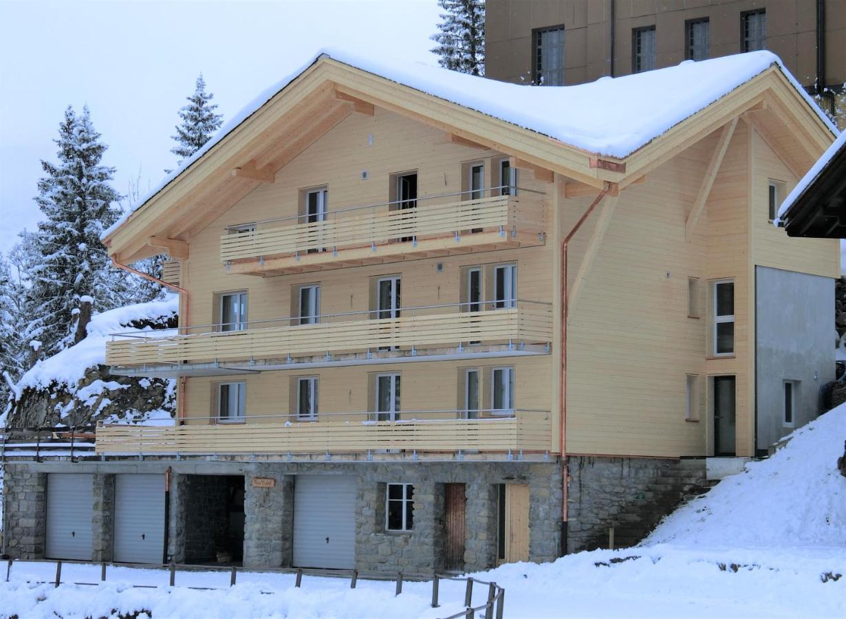 Chalet Raufthubel Murren Exterior photo